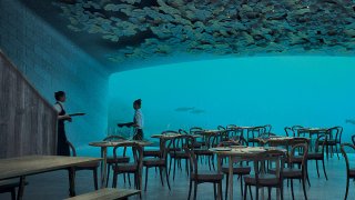 A Meal At This Underwater Restaurant Will Cost You Rs 30,619