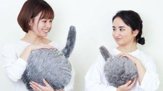 The Weirdest And Cutest Robots Introduced At CES 2020