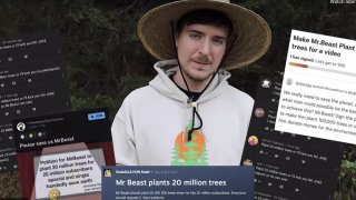 India Will Get 300,000 New Trees Through This Tree Planting Campaign