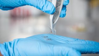 This Touchscreen Is So Thin And Flexible That You Can Roll It Up