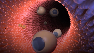 This Microbot Can Treat Damaged Knees From The Inside Of Your Body