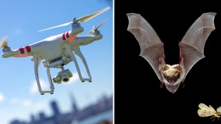 Drones May Soon Avoid Obstacles Like Bats Using Echolocation