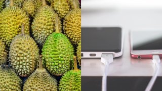Here Is How You Can Charge Your Phones With The Terribly Pungent Durians