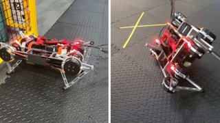 Google's Robot Learns To Walk Themselves Without Human Interactions