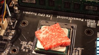 YouTuber Becomes Famous By Using His CPU To Cook Stuff