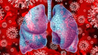 This Horrifying VR Video Shows How CO.VID-19 Damages Your Lungs, Enough Reasons To Stay Inside Now?