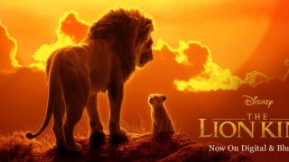 The Lion King Movie Download In Hindi: Kill Time Under Lockdown
