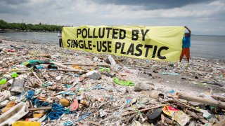 Scientists Develop New Mutant Enzyme That Devours Plastic in Hours, Could Revolutionize Recycling Industry