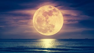 18 Breathtaking Images Of 2020’s Last Supermoon From Around The World