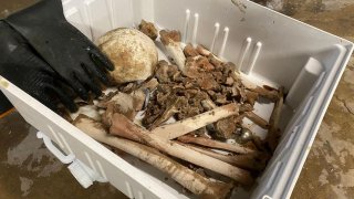 Funeral Directors Are Dissolving Bodies In The Water To Make The Earth Greener