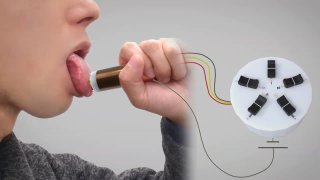 This Lickable Display Lets You Taste All The Food In The World