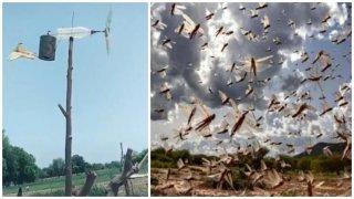 This Genius Machine In Uttar Pradesh Scares Away Locust Swarm, Twitter Was Amazed