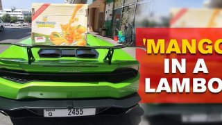 Supermarket’s Owner Drives A Lamborghini To Deliver Mango Orders