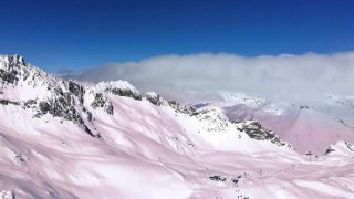 Pink Snow Looks Cute But It's A Sign Of An Environmental Disaster