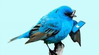 Twitter Is Reportedly In Talks To Acquire TikTok's Business In The U.S