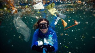 Plastic Has Finally Got Into Our Bodies, Maintaining In Organs And Tissue