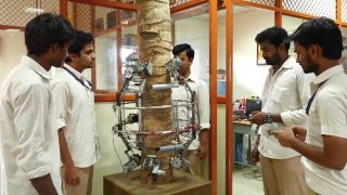 Indian Experts Create A Tree-Climbing Robot To Harvest Coconuts