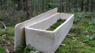 This Living Mushroom Coffin Eats And Turns Dead Bodies Into Nutrients