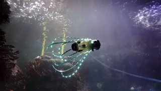 This Squid Robot Swims Freely In The Water On Its Own