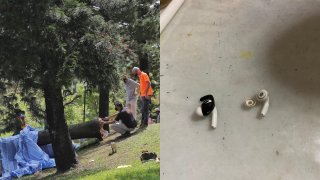 Woman Killed By Falling Tree While Wearing Noise-Cancelling Earbuds
