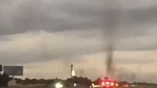 Mosquito 'Tornado' Horrifies Drivers In The Middle Of The Road