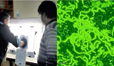 Indian Researchers Have Found Signs Of Life Which Existed 2.5 Billion Years Ago