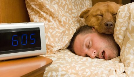 Twitch Launchs New Channel To Devote Users' Sleep Quality