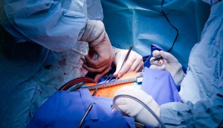 Lab-Grown Heart Stem Cells Are Used On Patients For The First Time In History