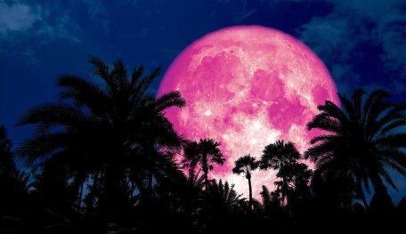 Pink Supermoon: Everything You Need To Know And How To See It In India