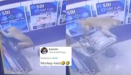State Bank Of India Robbed By A Monkey, Shocking New Delhi Police
