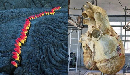 Images That Show How Extraordinary And Mysterious Planet Earth Is