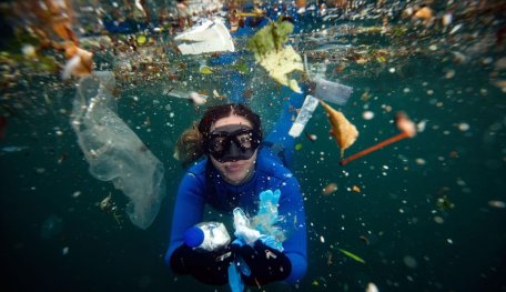 Plastic Has Finally Got Into Our Bodies, Maintaining In Organs And Tissue