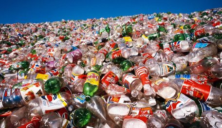 This Enzyme Can Destroy Plastic In Days, Not Million Years
