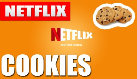 What Are Netflix Cookies And How To Use Them On Netflix?