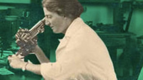 The Life And Work Of Lucy Wills, The Scientist Who Discovered Folic Acid In India