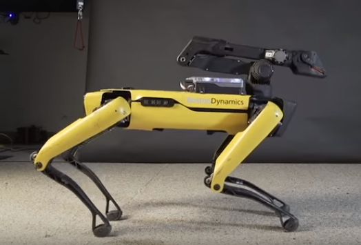 robot dog dance