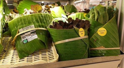 Banana Leaf Packaging 1553596096