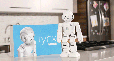 Lynx Humanoid Robot Amazon