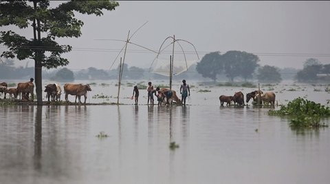 Assam-Flood