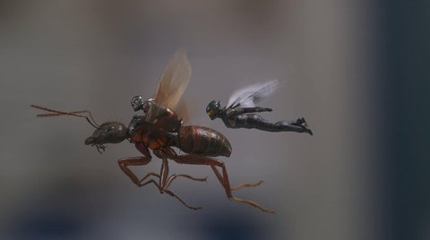 ant man and the wasp hindi audio track