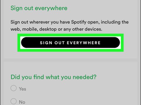 spotify web player mobile