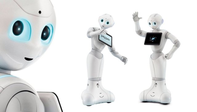 Pepper The Robot 1024x584