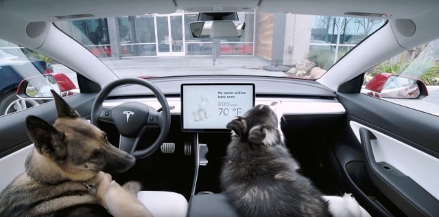 Tesla-Dog-Mode