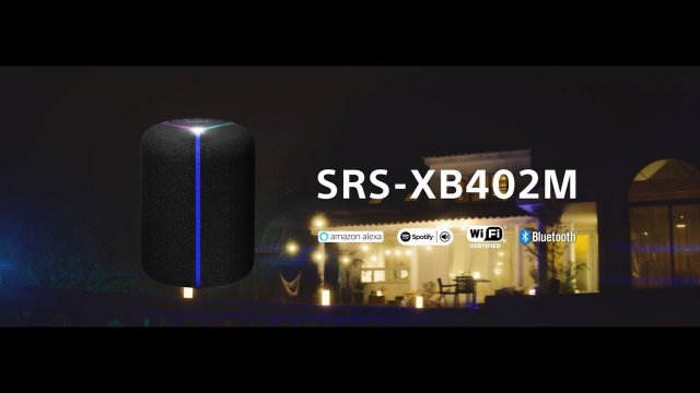 Sony 1