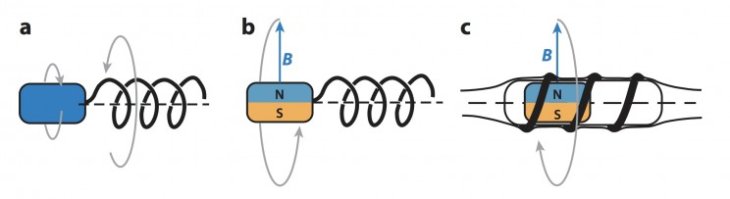 15 Medical Robots That Are Changing the World