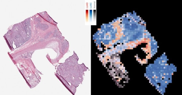 Image result for Google AI Tool