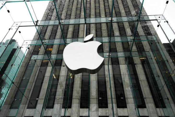 Apple Revenue Decline