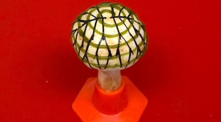 bionic mushroom