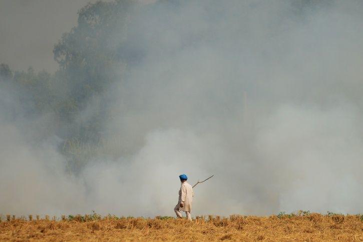 Stubble Burning 1541925108 725x725