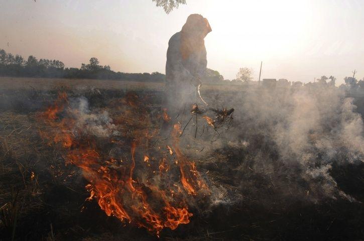 Stubble Burning 1541925198 725x725